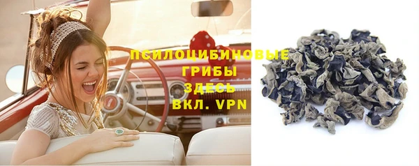 хмурый Кодинск