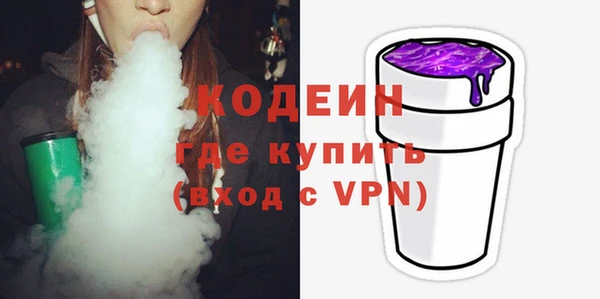 хмурый Кодинск