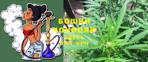 хмурый Кодинск