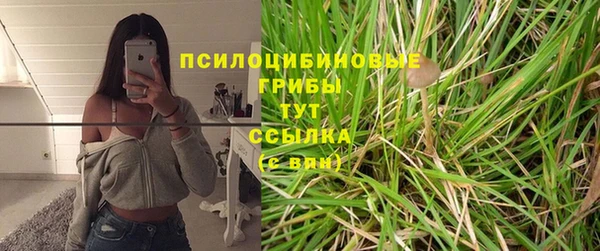 герыч Козельск