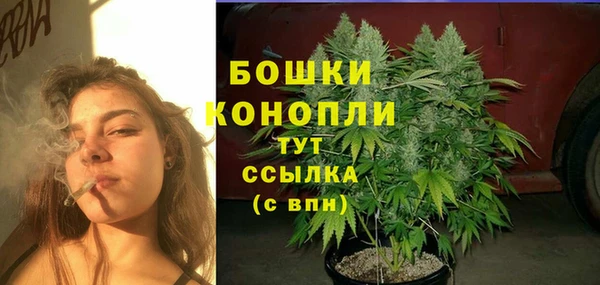 метадон Козловка